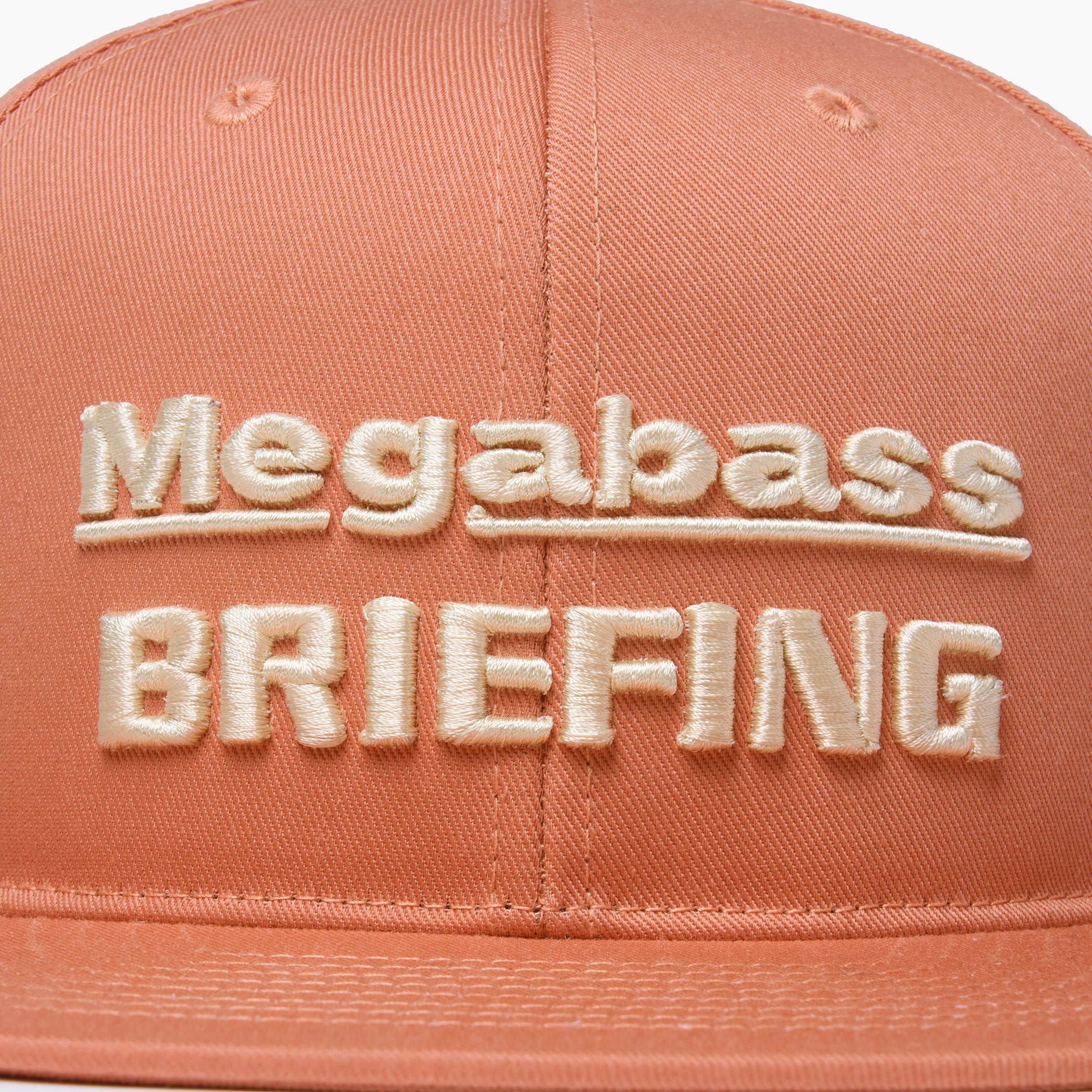 MEGABASS x BRIEFING Flat Visor Cap | BRIEFING Official – BRIEFING