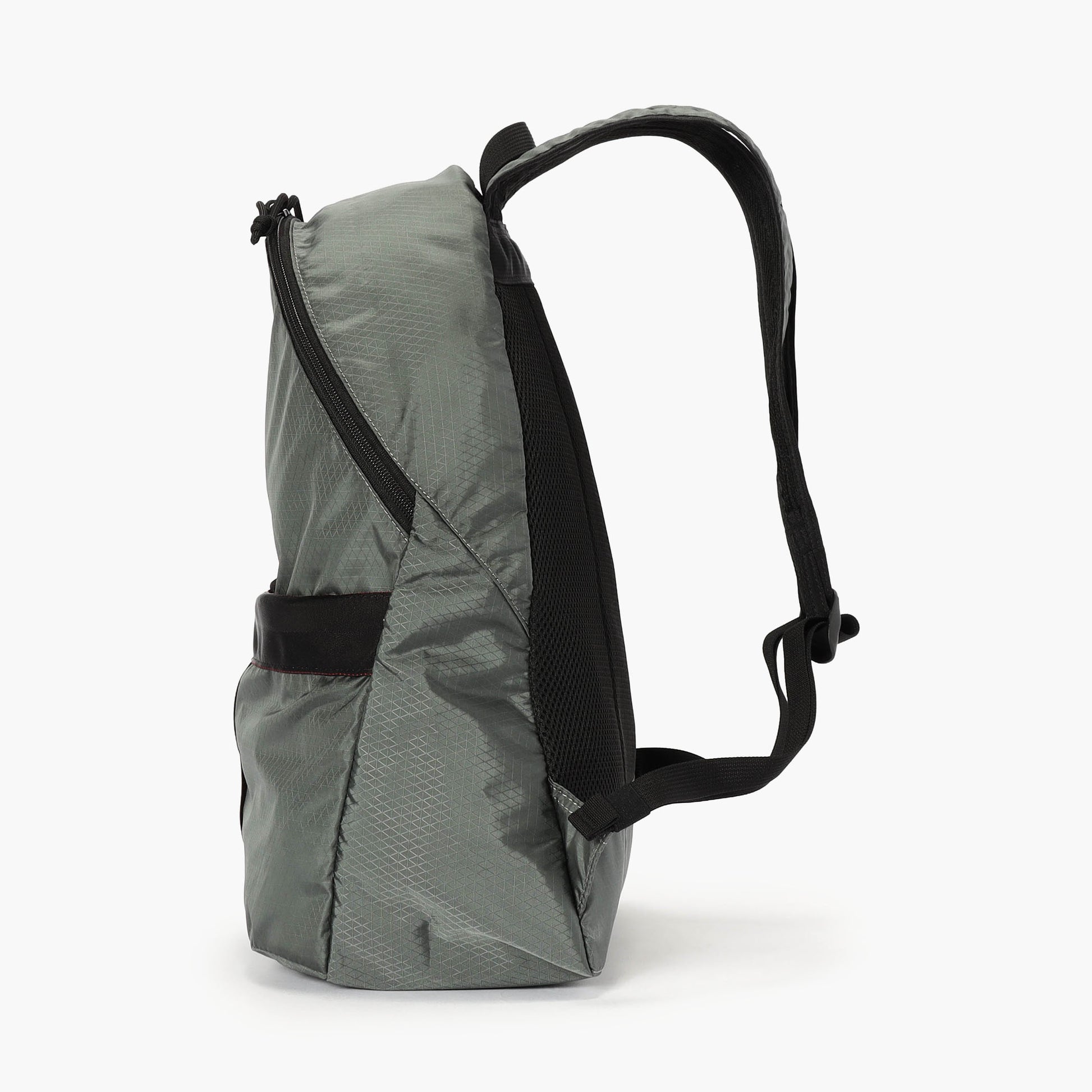 BRIEFING PACKABLE DAY PACK RC, Travel, Travel
