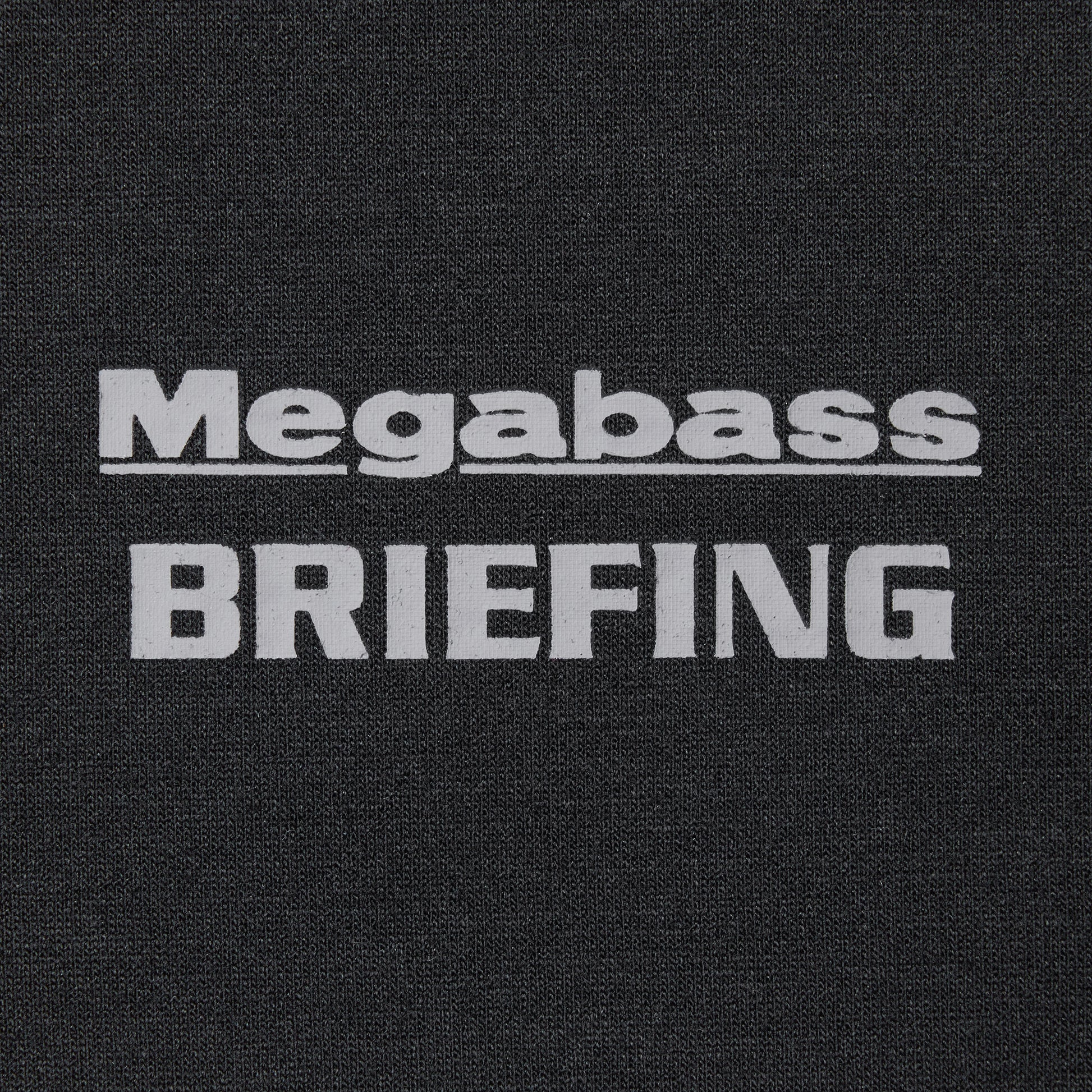 BRIEFING MEGABASS X BRIEFING JOLLY ROGER EMBLEM HOODIE, Apparels, Outdoor