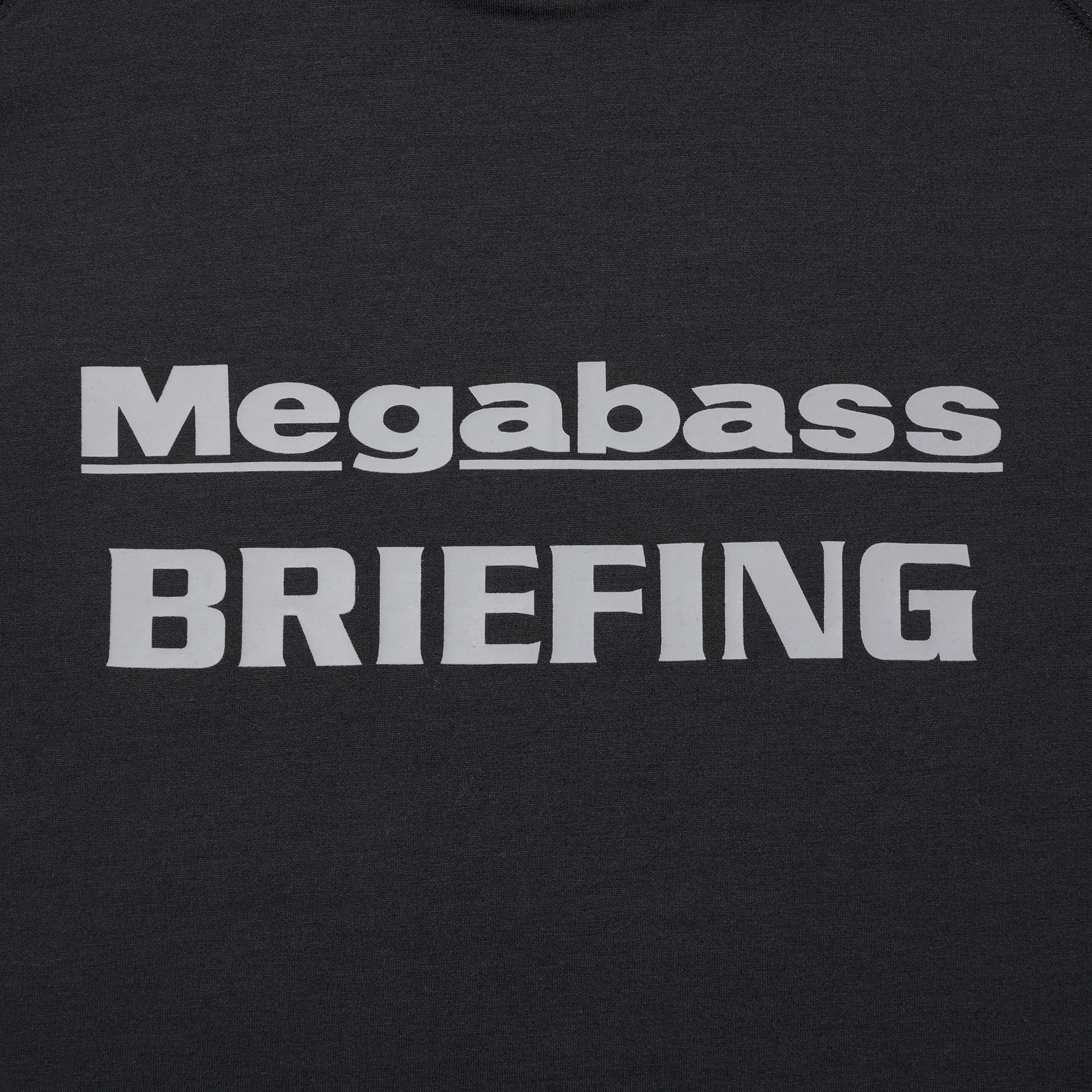 BRIEFING MEGABASS X BRIEFING JOLLY ROGER EMBLEM HOODIE, Apparels, Outdoor