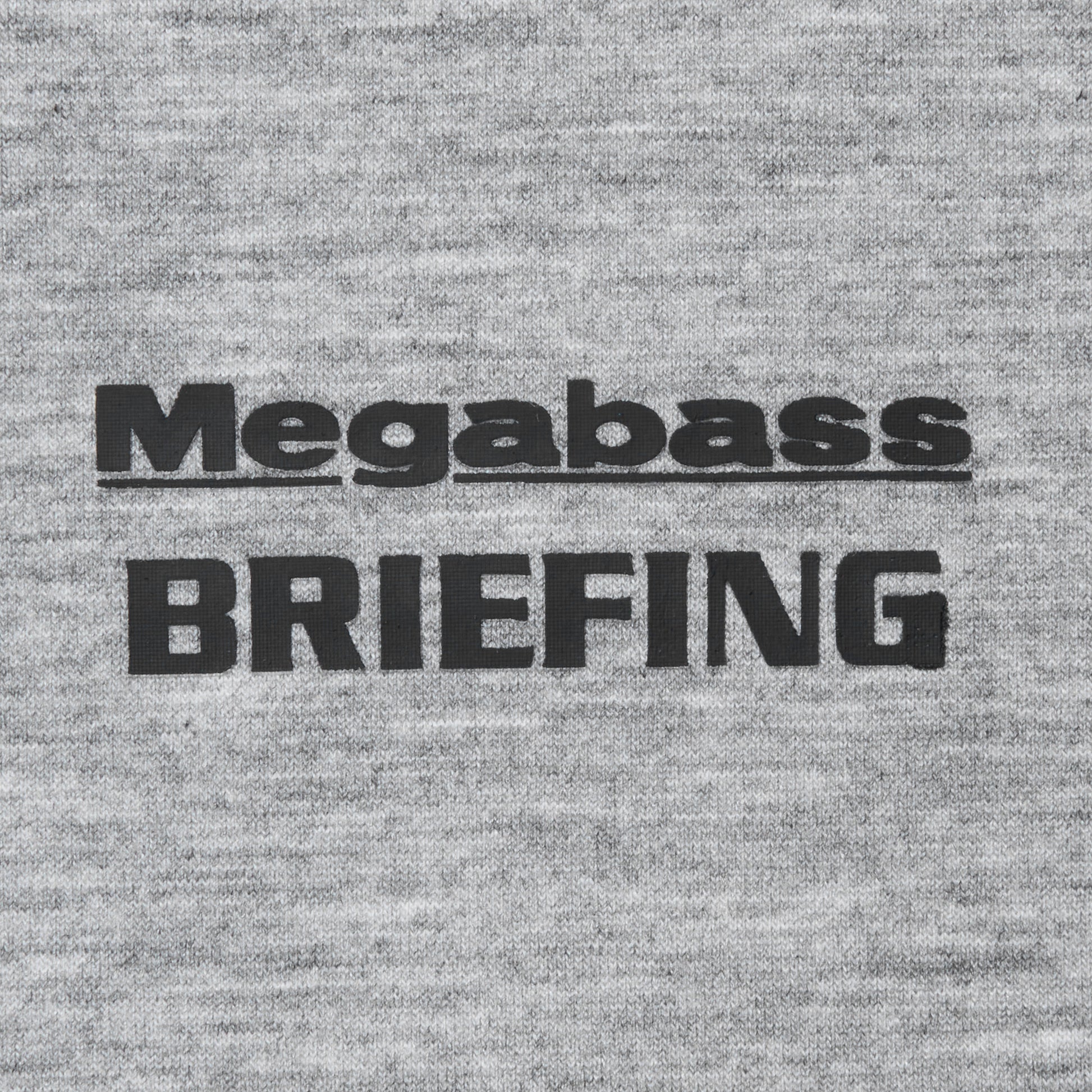 BRIEFING MEGABASS X BRIEFING JOLLY ROGER EMBLEM HOODIE, Apparels, Outdoor