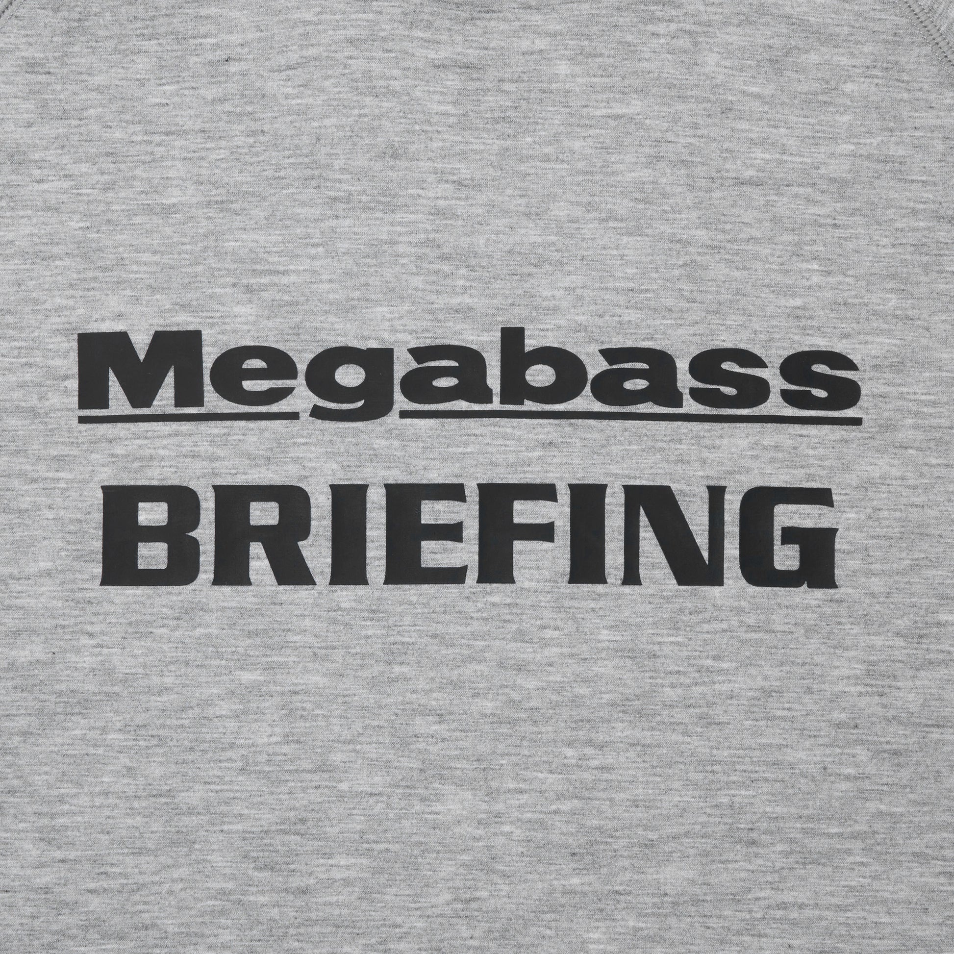 BRIEFING MEGABASS X BRIEFING JOLLY ROGER EMBLEM HOODIE, Apparels, Outdoor